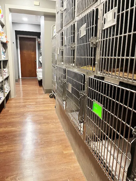 Kingdom Animal Hospital Picture 8