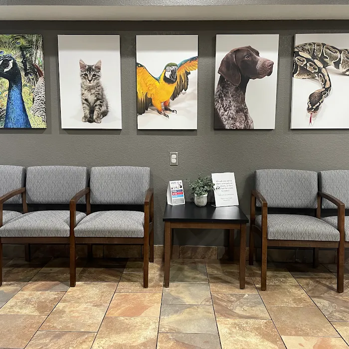 Kingdom Animal Hospital Picture 10