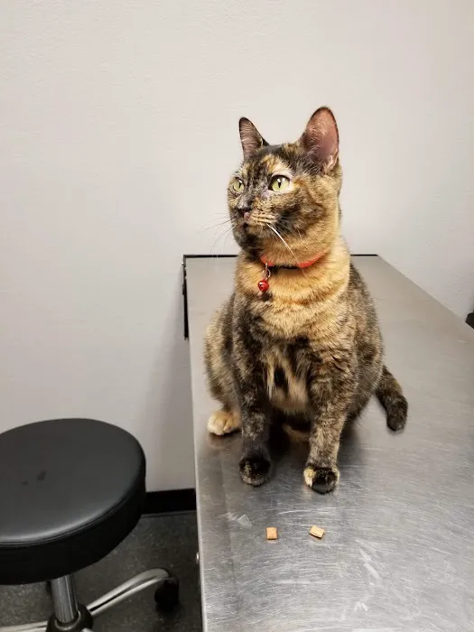 Bryan Animal Clinic Picture 4