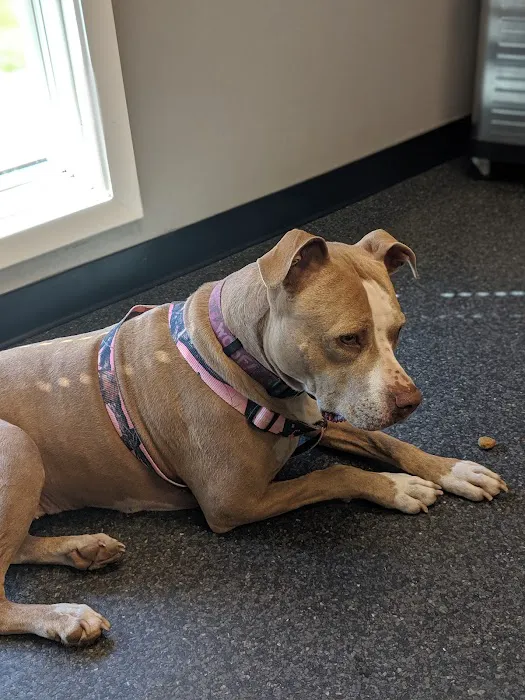 Bryan Animal Clinic Picture 6