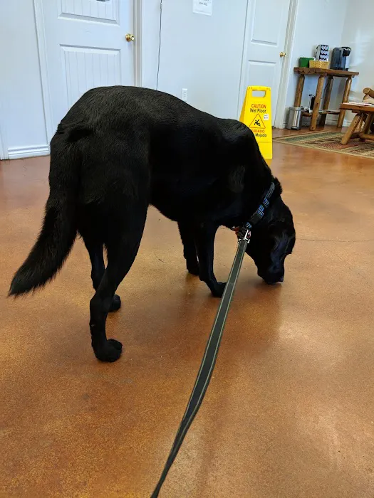 Tabor Road Veterinary Hospital Picture 5