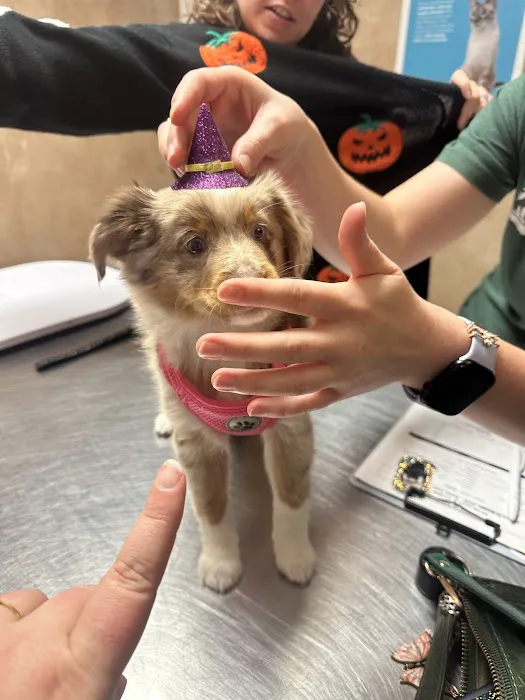 West Brazos Animal Center Picture 1