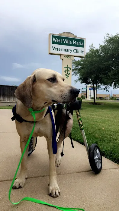 West Brazos Animal Center Picture 8