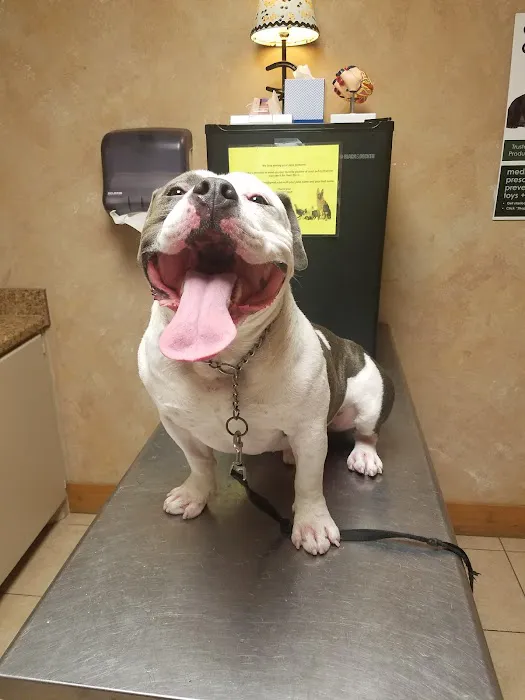 West Brazos Animal Center Picture 7