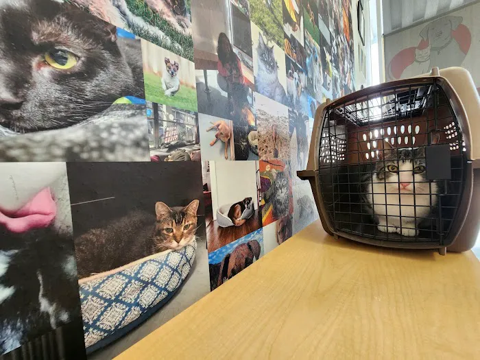 Well Pet Place Picture 7