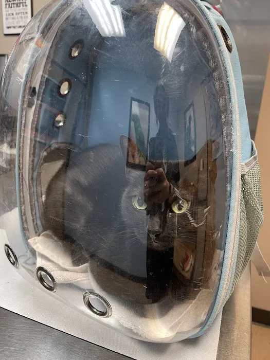11th Street Veterinary Hospital Picture 2