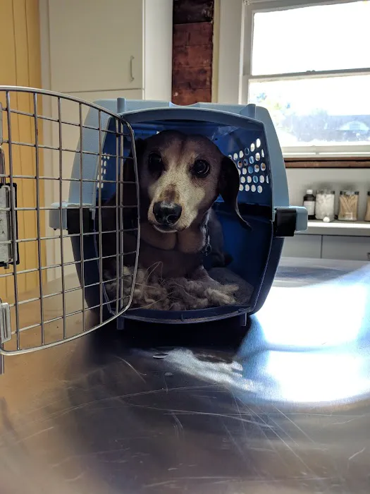 Long Veterinary Clinic Picture 2