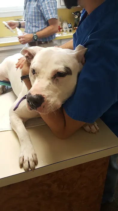 Long Veterinary Clinic Picture 1