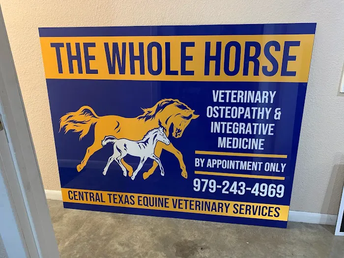 The Whole Horse Veterinary Clinic and Central Tx Equine Picture 1