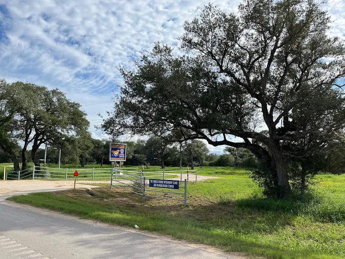 The Whole Horse Veterinary Clinic and Central Tx Equine Picture 2