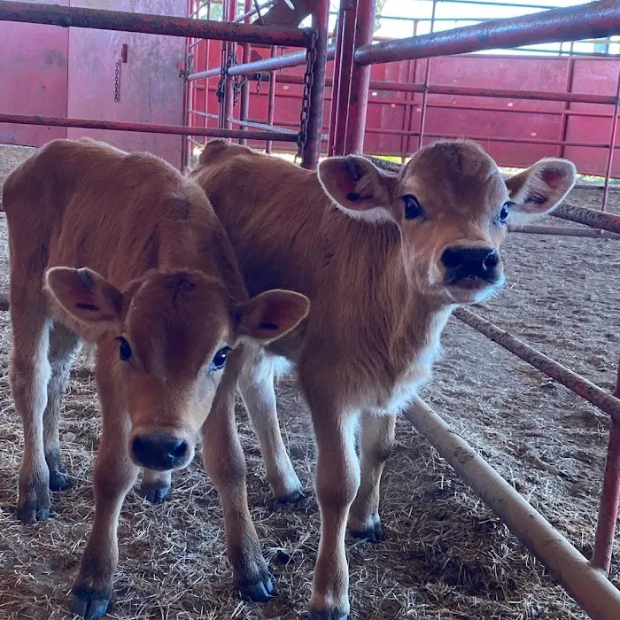 Colorado Valley Vet Picture 9