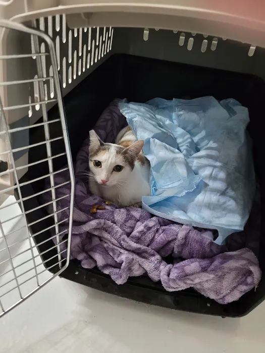 Alamont Veterinary Clinic Picture 8