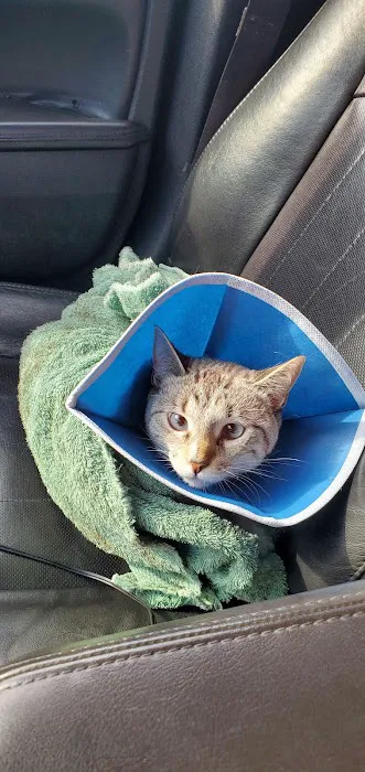 WHARTON VETERINARY CLINIC Picture 1
