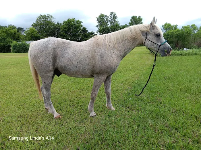 WHARTON VETERINARY CLINIC Picture 5