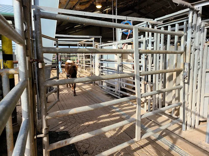 WHARTON VETERINARY CLINIC Picture 9