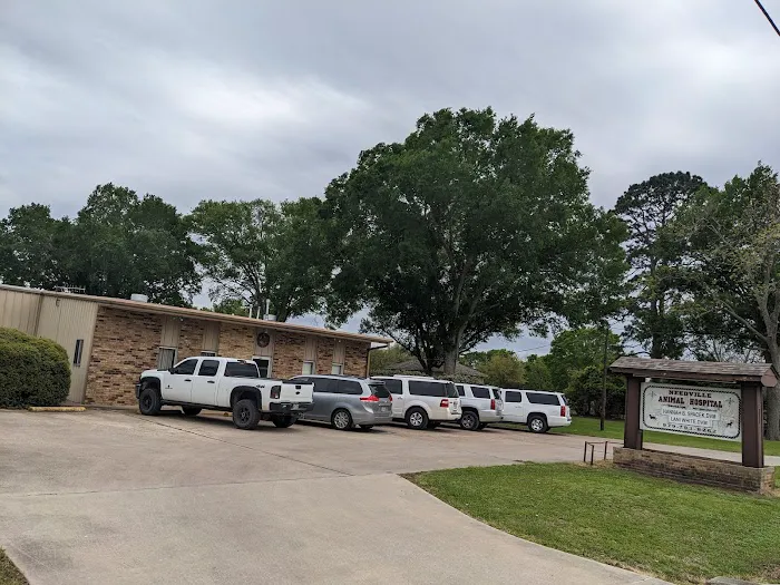 Needville Animal Hospital Picture 3