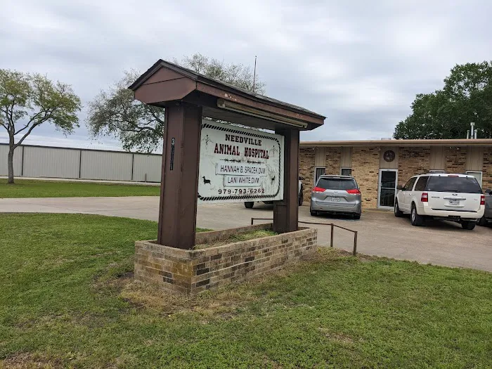 Needville Animal Hospital Picture 6