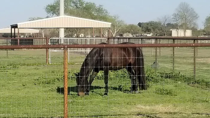 Needville Animal Hospital Picture 10