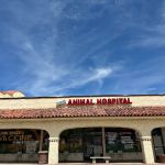 Mission Animal Hospital