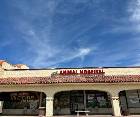 Mission Animal Hospital
