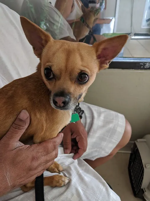 Mission Animal Hospital Picture 8