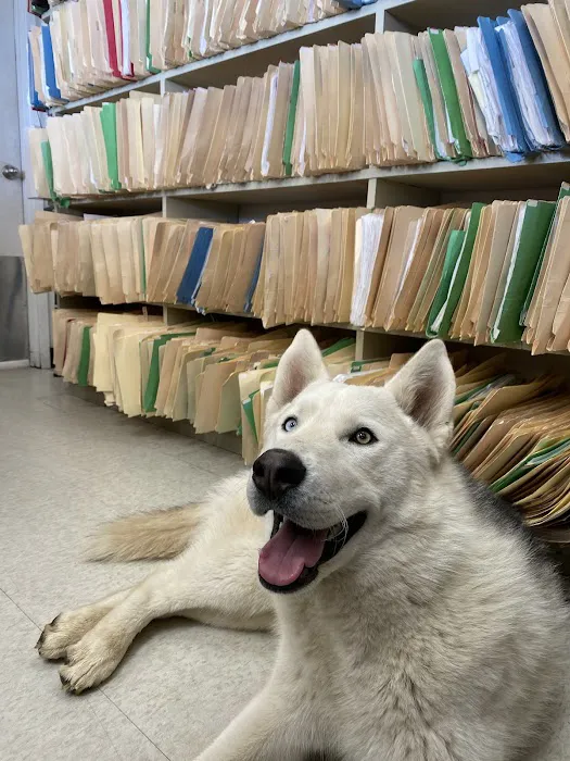 Mission Animal Hospital Picture 5