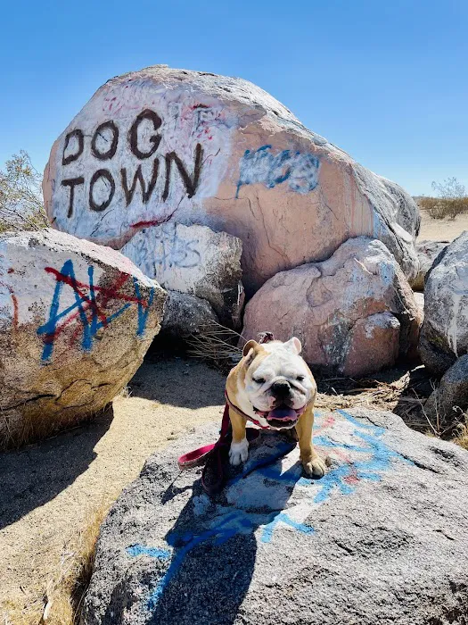 Palmdale Veterinary Hospital Picture 6