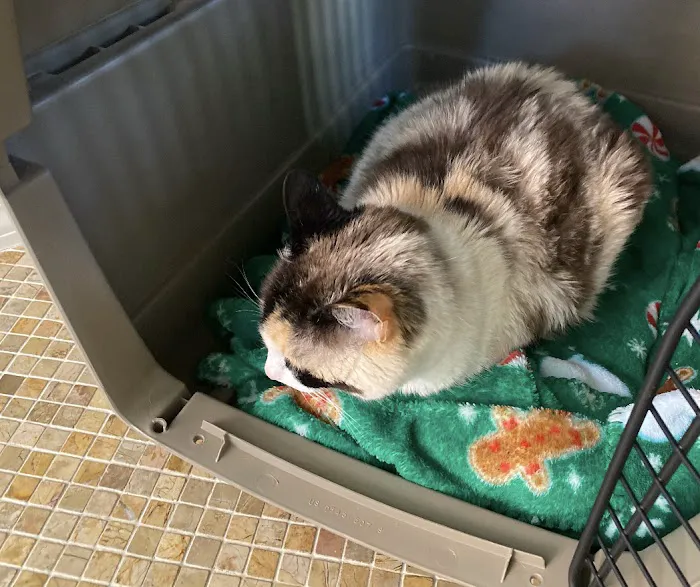 Palmdale Veterinary Hospital Picture 9
