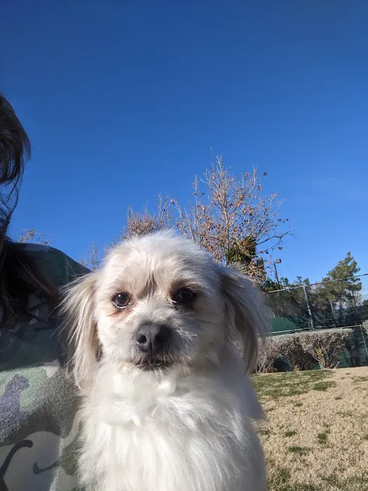 Animal Medical Center of The Antelope Valley Picture 4