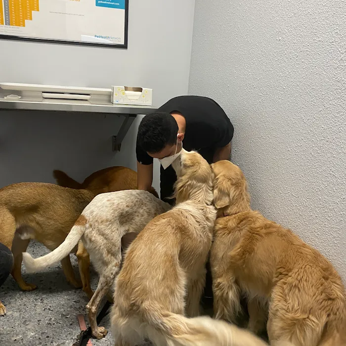 Animal Medical Center of The Antelope Valley Picture 10