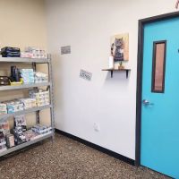 Pet Check Engine Animal Hospital ico