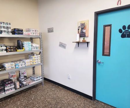 Pet Check Engine Animal Hospital