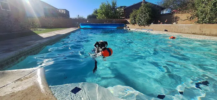 Antelope Valley Animal Hospital Picture 4