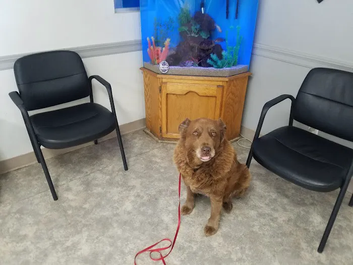 Antelope Valley Animal Hospital Picture 6