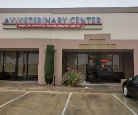 AV Veterinary Center
