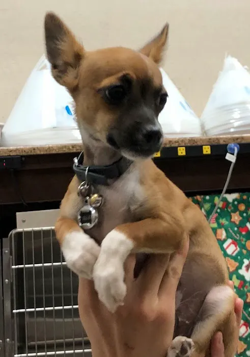 AV Veterinary Center Picture 2