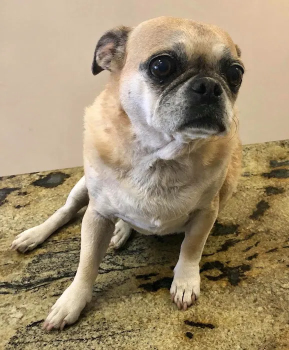 AV Veterinary Center Picture 10