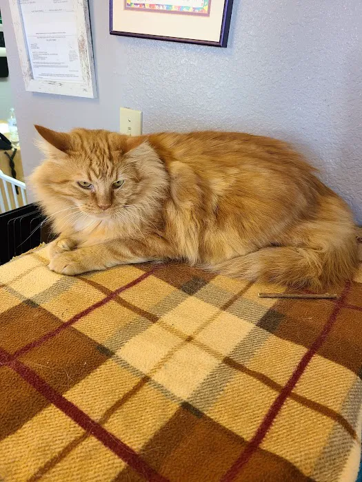 Quartz Hill Veterinary Picture 3