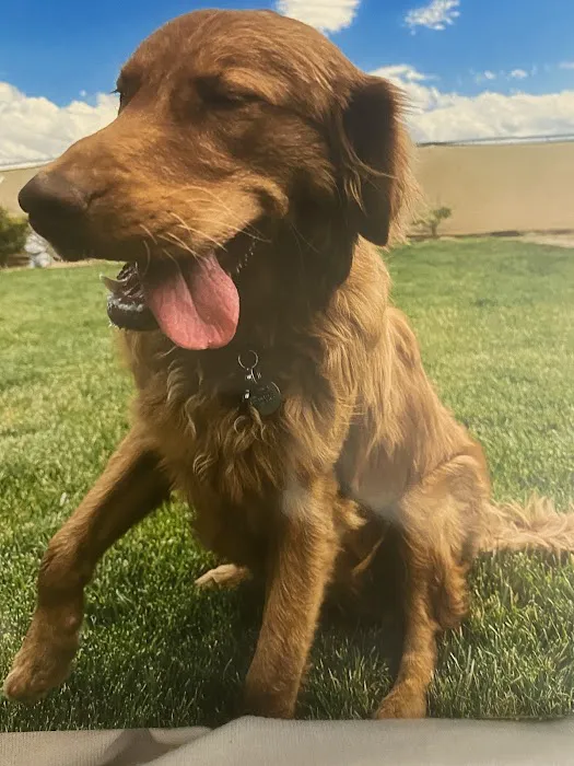 Quartz Hill Veterinary Picture 1