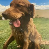 Quartz Hill Veterinary ico