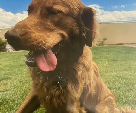 Quartz Hill Veterinary