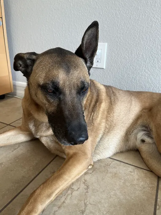 Quartz Hill Veterinary Picture 9