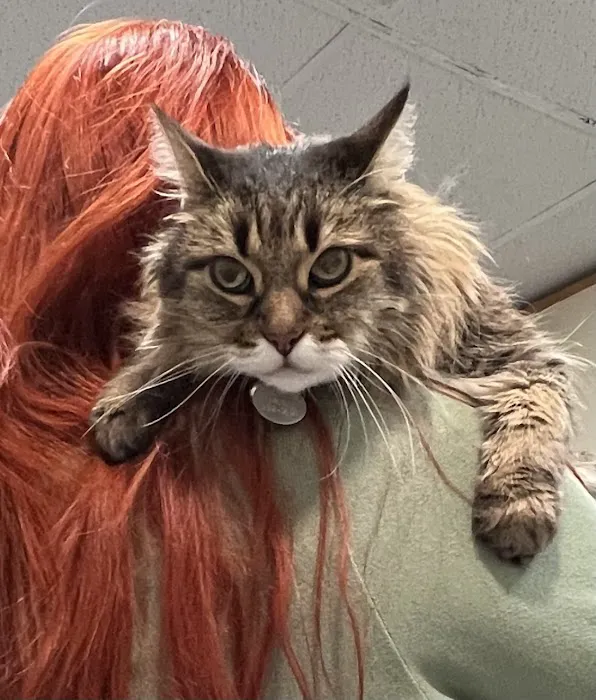 Quartz Hill Veterinary Picture 10