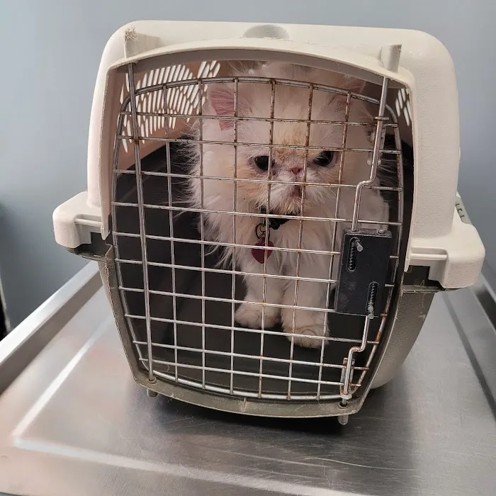 911 Vet Care Picture 7