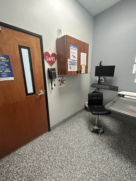 911 Vet Care Picture 6