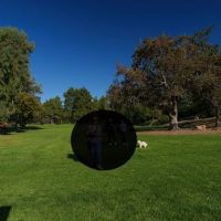 Agoura Hills Animal Hospital ico