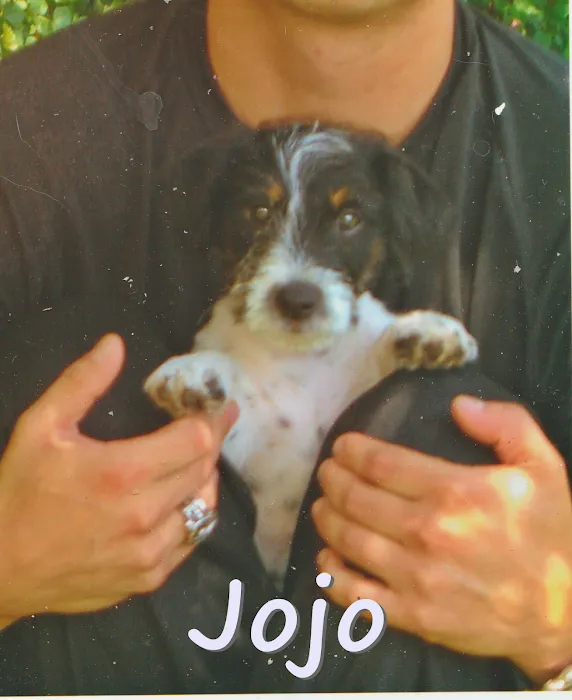 Agoura Hills Animal Hospital Picture 9