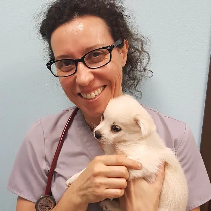 Ohana Pet Hospital of Agoura Hills Picture 1