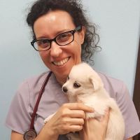Ohana Pet Hospital of Agoura Hills ico