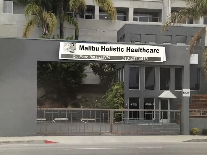 Holistic Veterinary Healthcare Picture 4